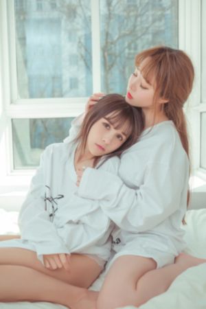 疯狂动物城二